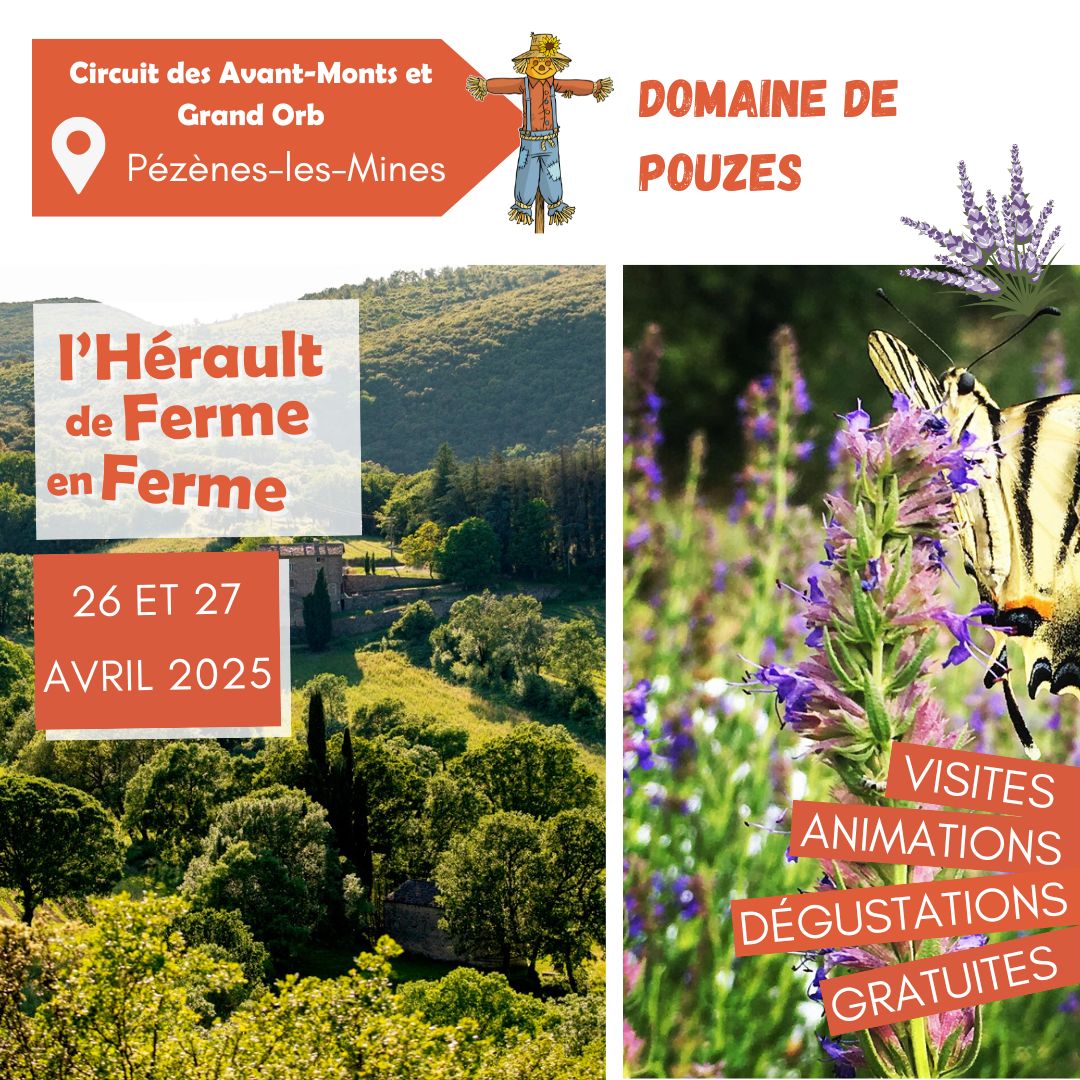 DFF 2025 Domaine de Pouzes