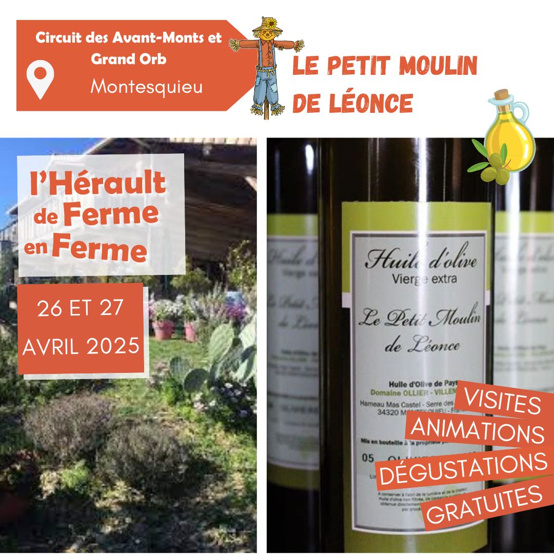 DFF 2025 Petit Moulin de Léonce