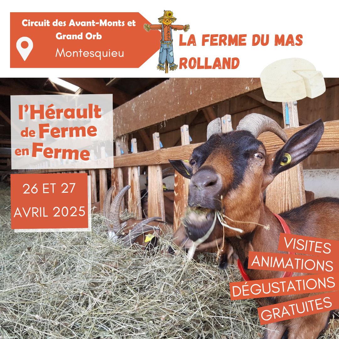 DFF 2025 Ferme du Mas Rolland