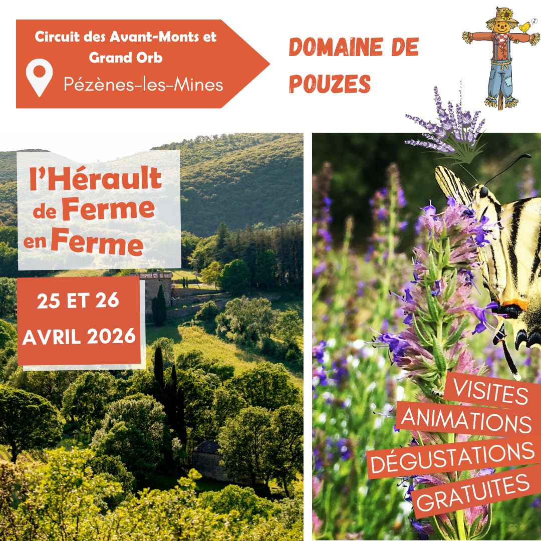 DFF2026 Domaine de Pouzes