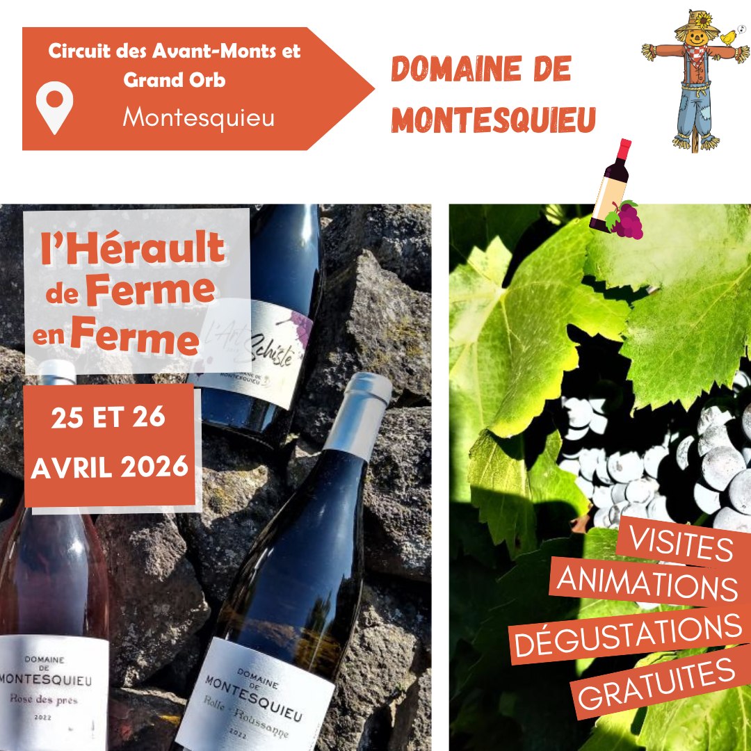 DFF2026 Domaine de Montesquieu