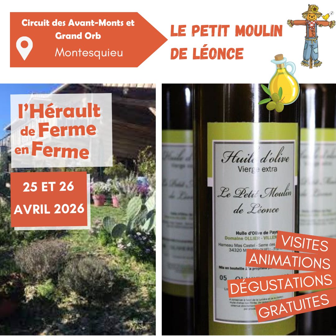 DFF2026 Petit moulin de Léonce