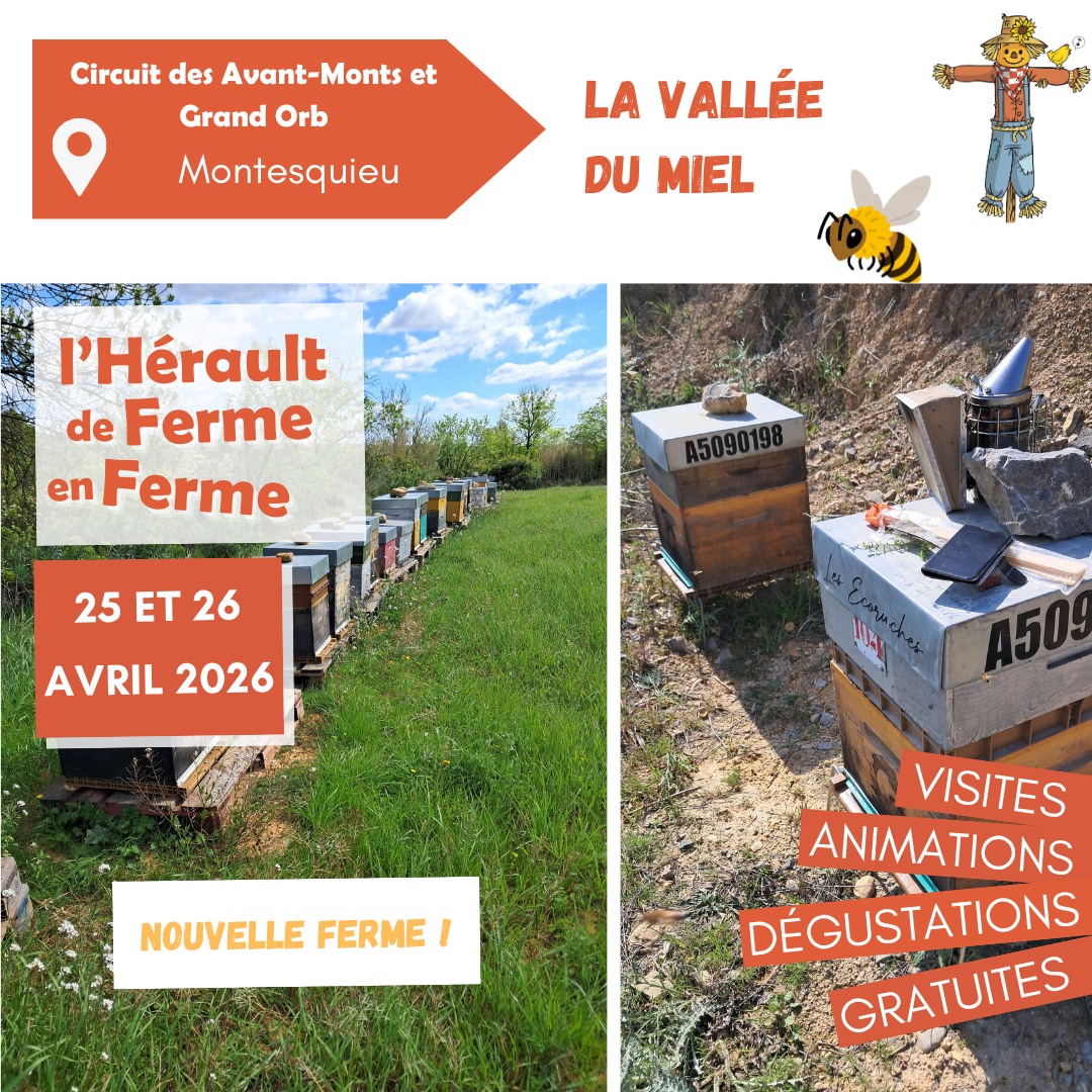 DFF2026 Vallée du Miel