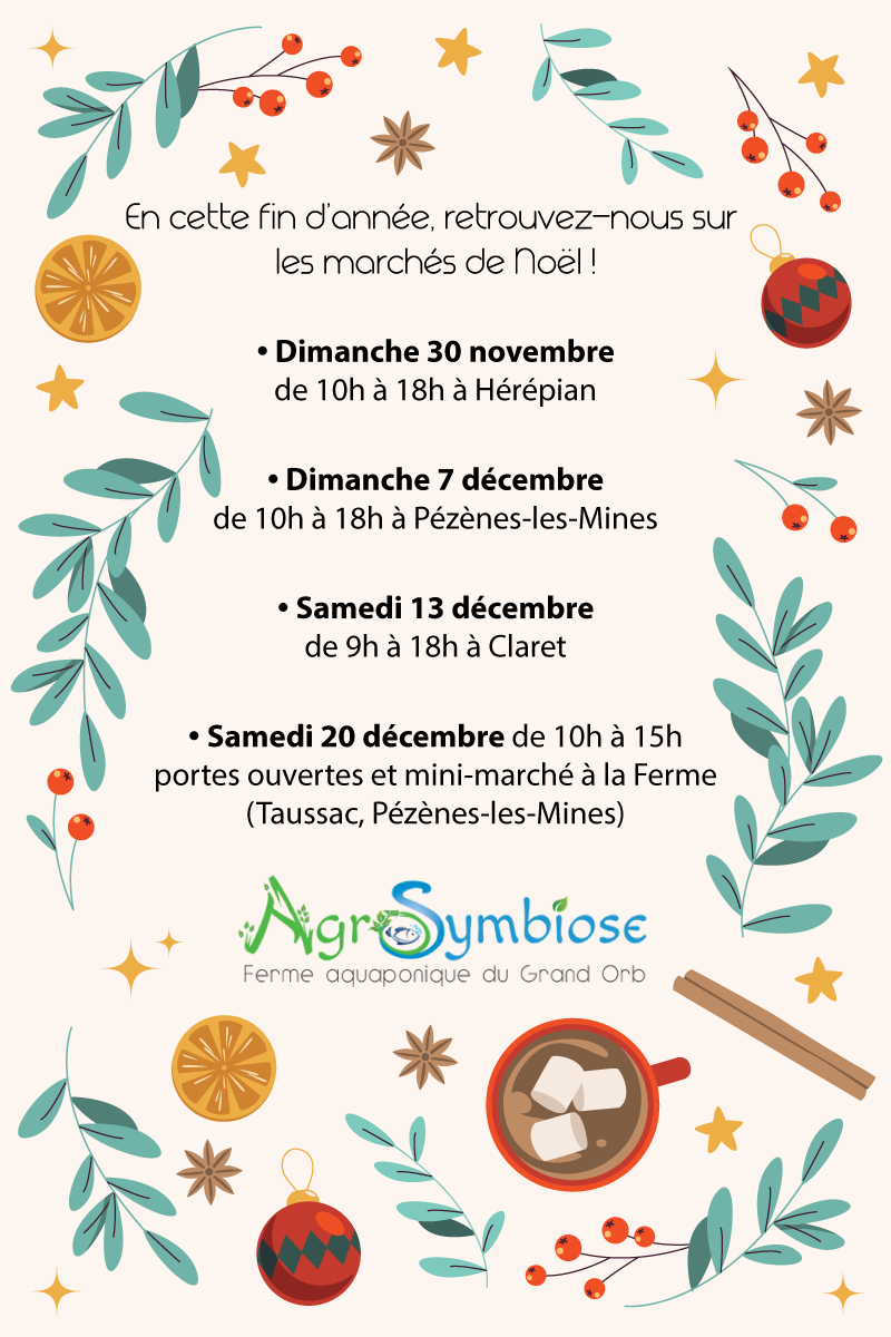 Marchés de Noël 2025