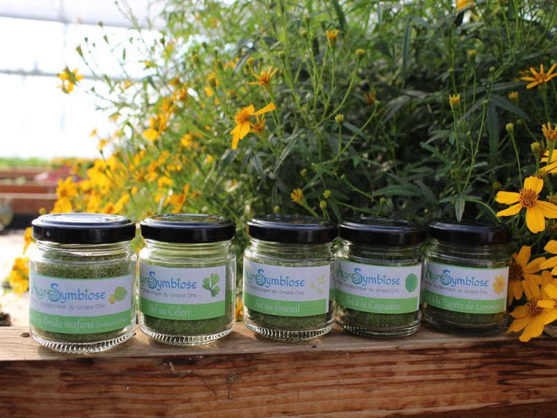 Produits transformés