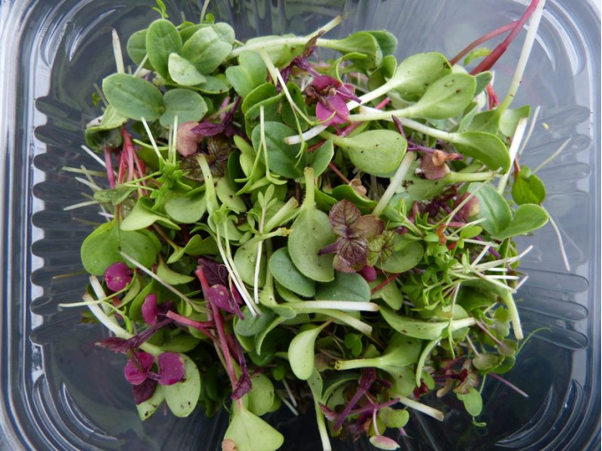 Panier légumes et aromates de saison + barquette de micropousses