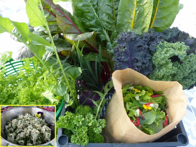 Panier légumes et aromates de saison + barquette de rillettes de truite