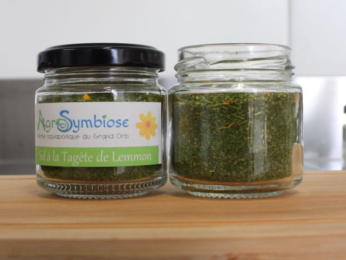 Sel à la Tagète de Lemmon / Oeillet passion