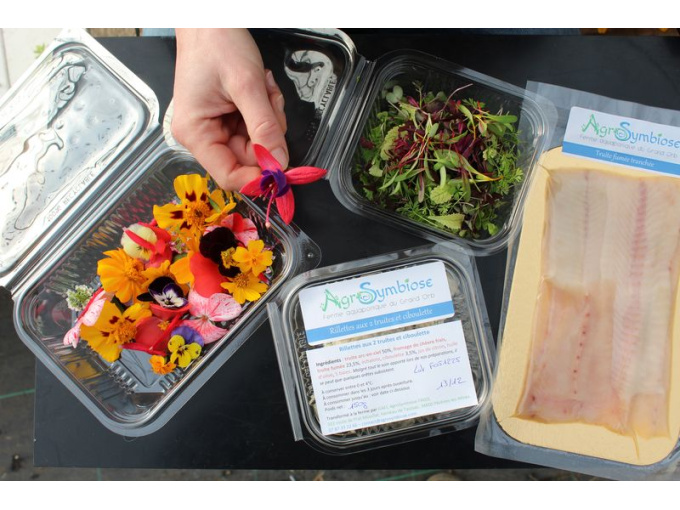 Pack "Toasts Simple"