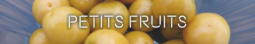 Petits fruits