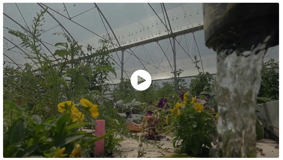 Reportage France 3